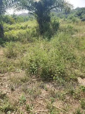 Plot for Sale at Brofoyendro Darko