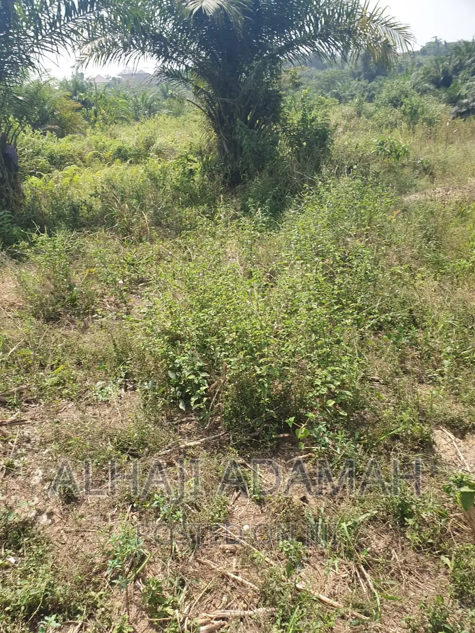 Plot for Sale at Brofoyendro Darko
