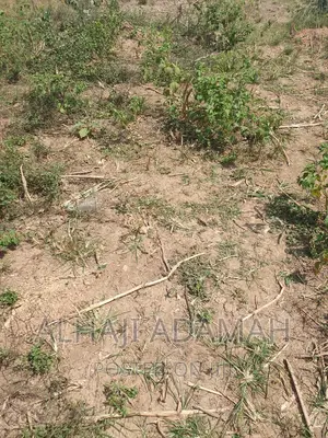 Plot for Sale at Brofoyendro Darko