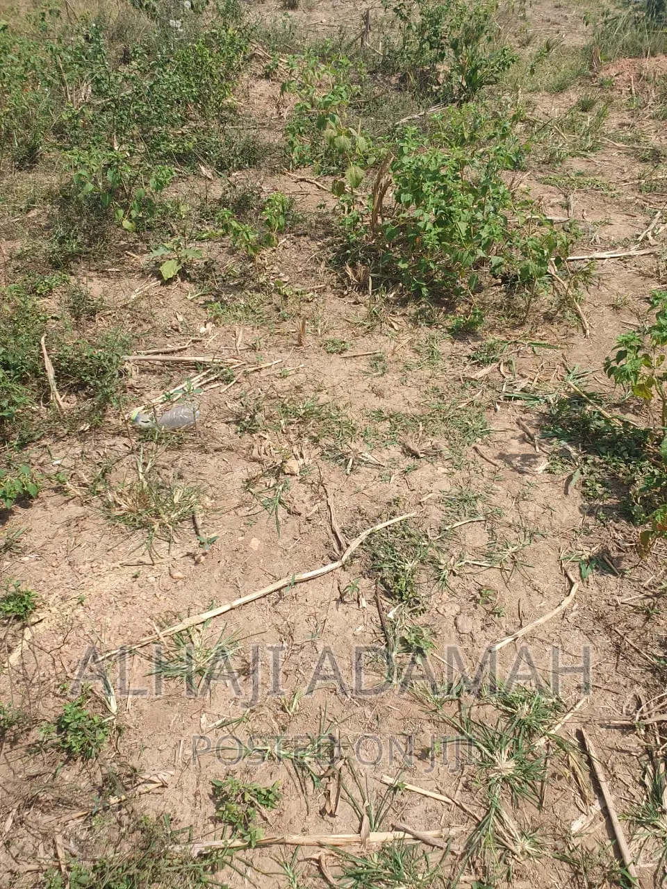 Plot for Sale at Brofoyendro Darko