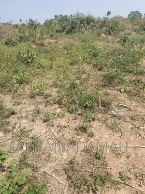 Plot for Sale at Brofoyendro Darko