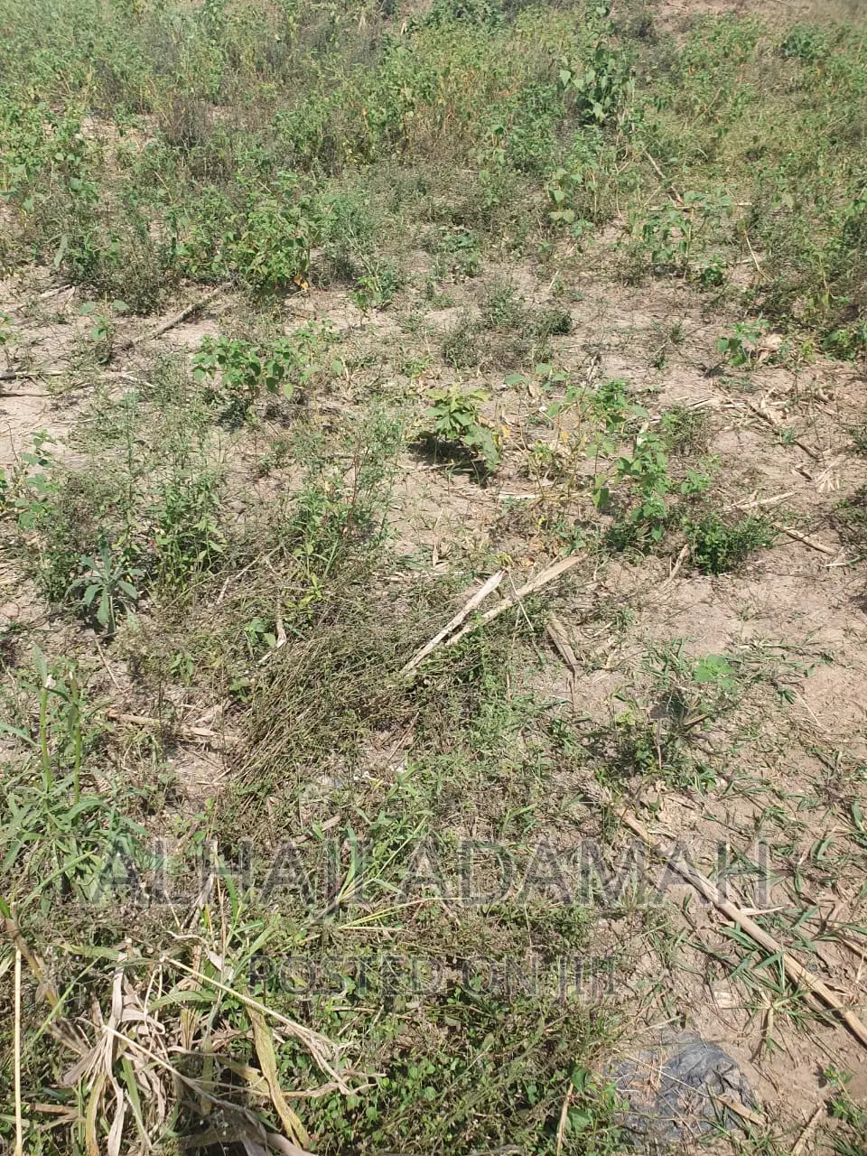Plot for Sale at Brofoyendro Darko