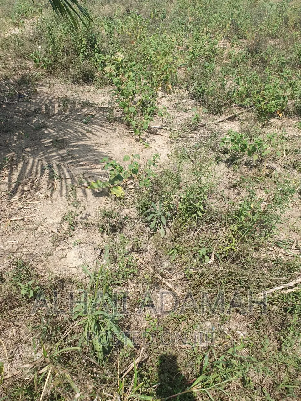 Plot for Sale at Brofoyendro Darko