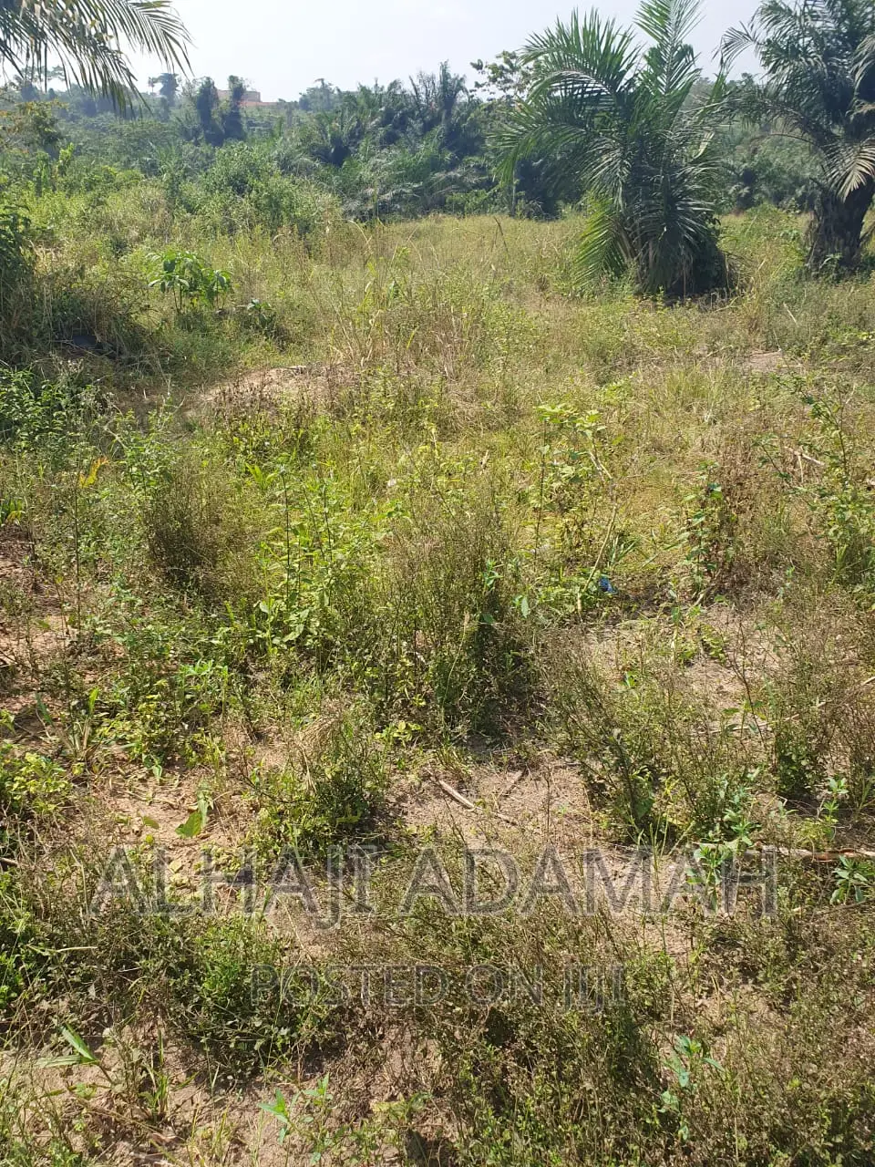 Plot for Sale at Brofoyendro Darko