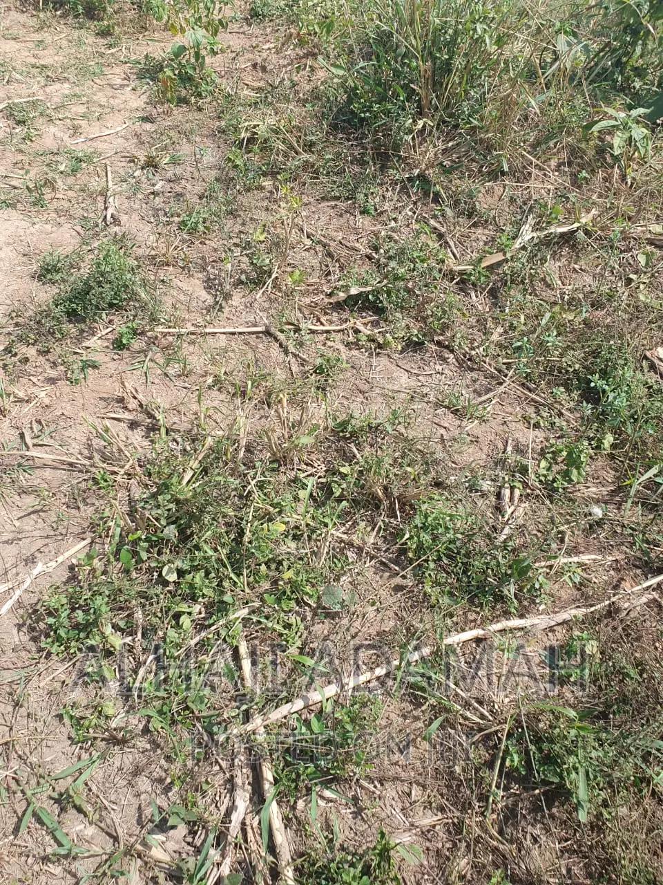 Plot for Sale at Brofoyendro Darko