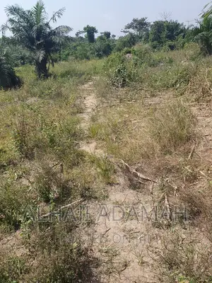 Four Plots of Lands at Brofoyendro Darko