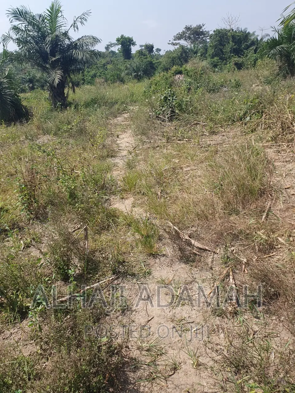 Four Plots of Lands at Brofoyendro Darko