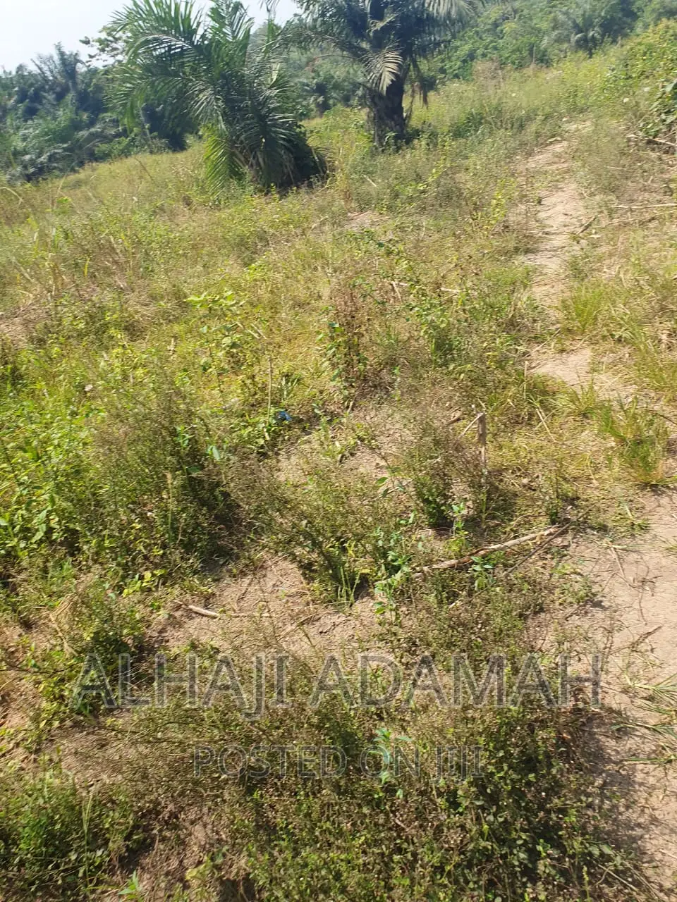 Four Plots of Lands at Brofoyendro Darko