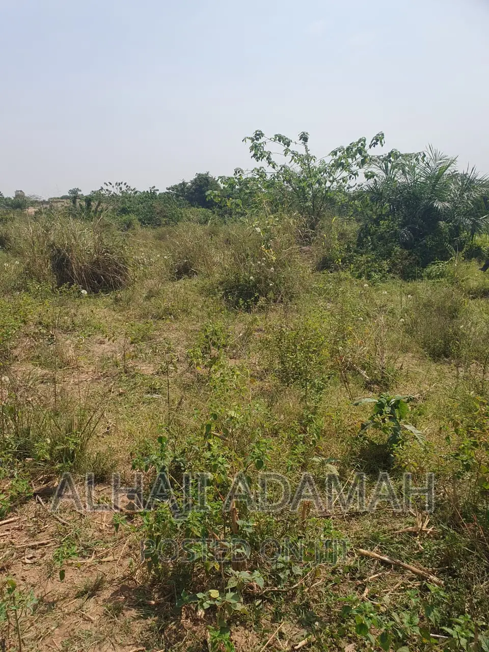 Four Plots of Lands at Brofoyendro Darko