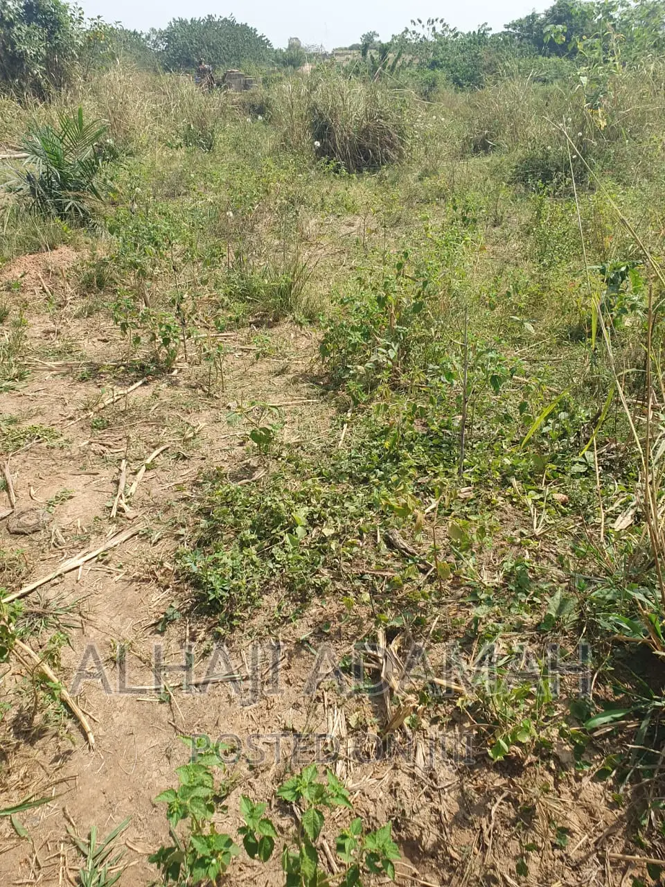 Four Plots of Lands at Brofoyendro Darko