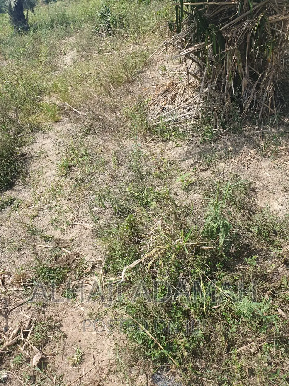 Four Plots of Lands at Brofoyendro Darko