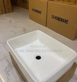 Hanging Basin _ Wall Mount Ceramic Sink