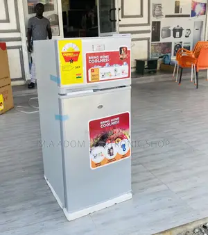 Original Zara 12TM Double Door Electric Fridge(Gray).