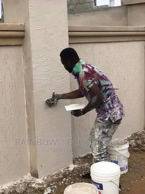 Wall Treatment Paint (Acrylic Waterproof Graffiato Paint)