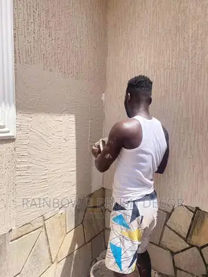 Wall Treatment Paint (Acrylic Waterproof Graffiato Paint)