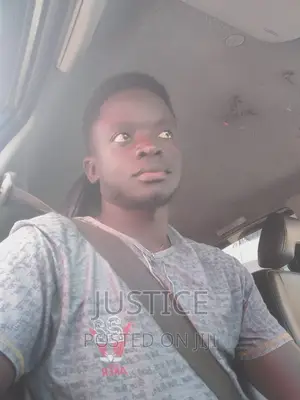 Driver Looking for a Stay in Job