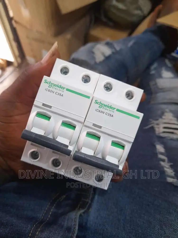25amps 2pole Schneider Breaker