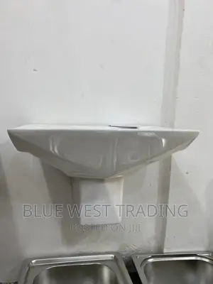 Wall Hung Basin - Master Bedroom Basin
