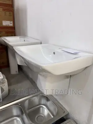 Wall Hung Basin - Master Bedroom Basin