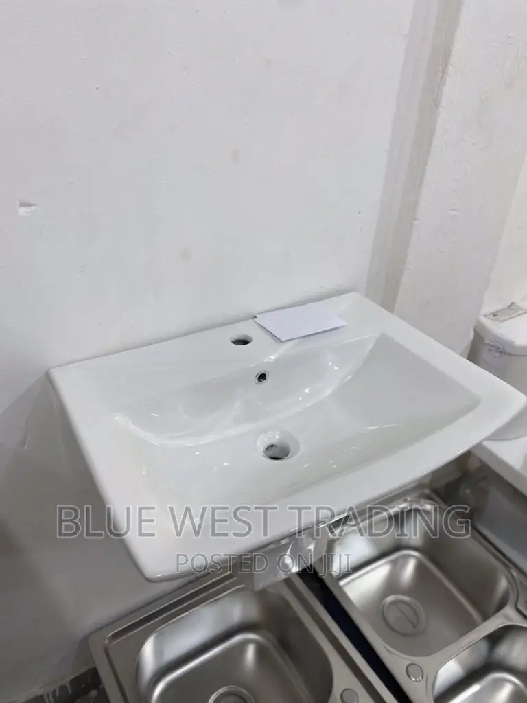 Wall Hung Basin - Master Bedroom Basin