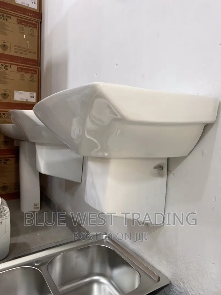 Wall Hung Basin - Master Bedroom Basin