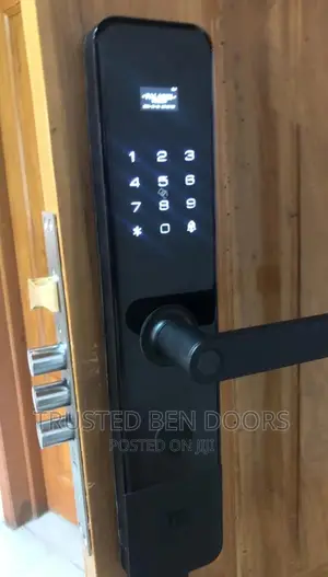 Classy Paladin Biometric Smart Turkish Door Locks