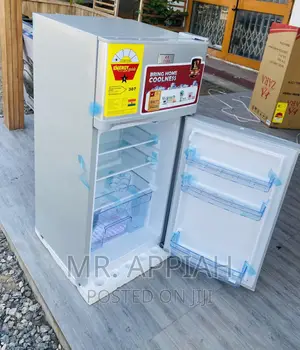 Energy Efficient Zara 12TM 2 Door Electric Fridge,Silver