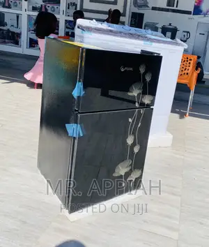 Budget-Friendly Pearl PF-10T 2 Door Electric Fridge(Black).