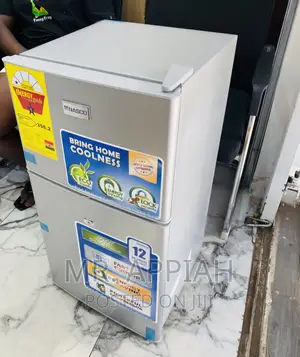 Super Affordable Nasco Nasf2-120 Electric Fridge(Silver).