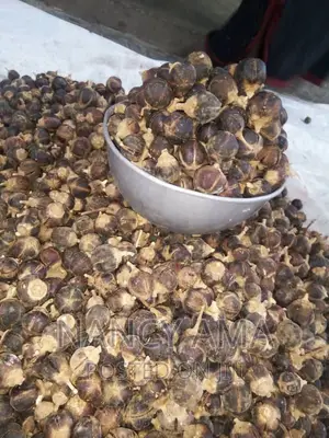 Fresh Goron Tula