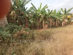 Two Plots for Sale at Santasi Brofuyendro