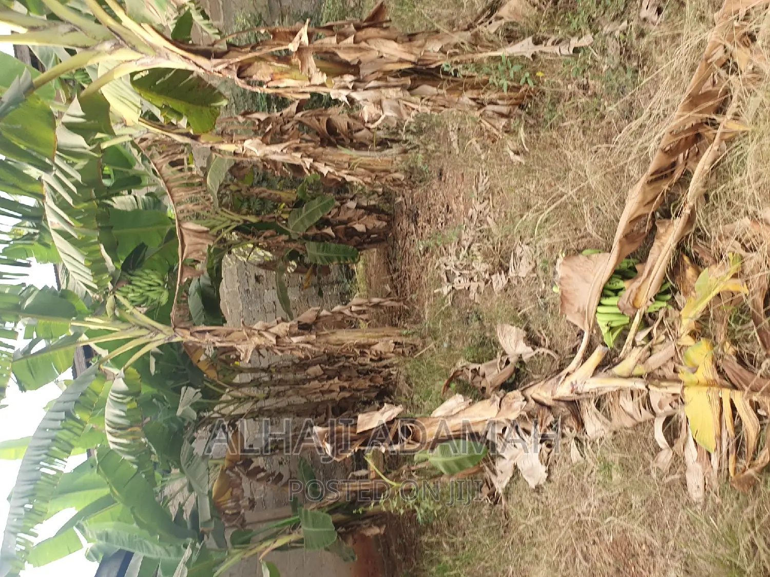 Two Plots for Sale at Santasi Brofuyendro