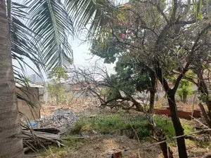 Land for Sale at Dzorwulu