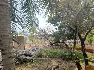 Land for Sale at Dzorwulu