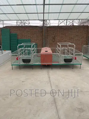 Pig Fallowing Crate With Heater For Piglets