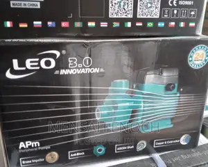 075 Leo Pump