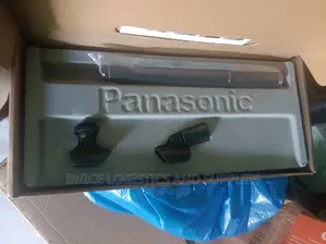 Panasonic Interview Microphone
