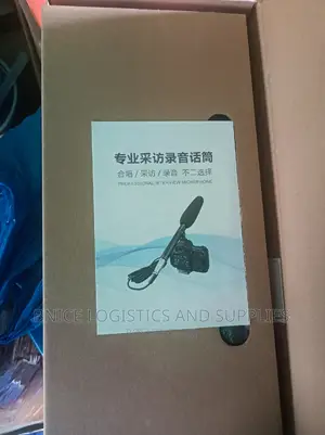 Panasonic Interview Microphone