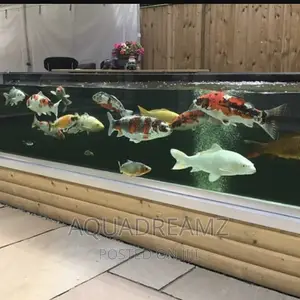 Glass Fish Pond