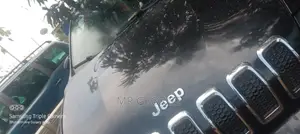 Car Mechanic