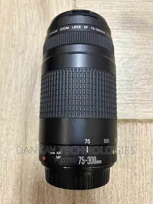 Canon EF 75-300mm F/4-5.6 III Lens