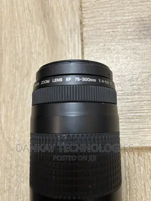 Canon EF 75-300mm F/4-5.6 III Lens