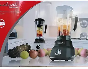 Professional Commercial Blender - 2l