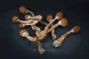 Magic Mushrooms Fresh