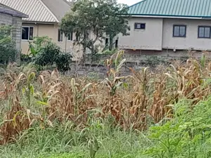 Plot for Sale at Effia Nkwanta