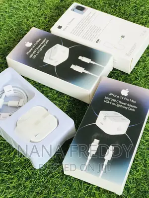 Apple  Type C Charger