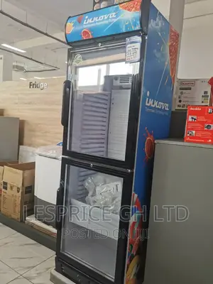 Quick Cooling Innova Double Door Display Fridge 450L