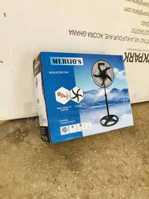 Unique Designer Merijo’S Electric Standing Fan(Black).