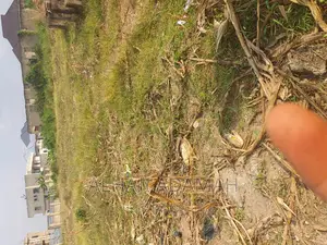 Plot for Sale at Kwadaso Agric