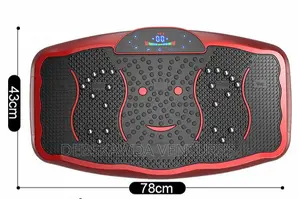 Vibration Plate Machine (Big Size)